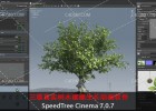 三维真实树木建模生长动画软件(含安装教程)Speedtree Cinema v7.1.1