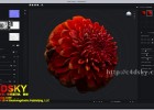 三维法线贴图纹理烘焙软件Shadermap 3.0.6 Pro Retail