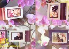 AE模板-浪漫美丽兰花桃花结婚纪念日婚礼相册家庭生活照片幻灯片模板