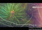 AE模板-现代企业产品演示线条元素旅游幻灯片图片展示模板Modern Slideshow免费下载