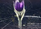AE模板-三维线条史诗电影公司宣传高科技视差图片展示模版Lines Parallax Slideshow 免费下载