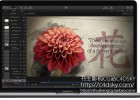 苹果视频编辑软件Apple Motion 5.3.1 Mac OS X 多国语言含中文版 免费下载