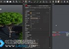 三维植被树木软件PlantFactory全面基础入门视频教程Lynda Learning Plant Factory 免费下载