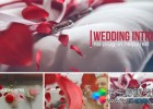 浪漫玫瑰花瓣婚礼开幕式情人节相册包装片头-AE模板下载Wedding Intro