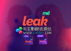 AE+Pr模板预设-视频镜头炫光漏光叠加特效预设模板Leak Me Preset