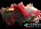 Houdini高级影视特效教程Entagma Patreon Advanced CG Tutorials 2022.3-8月份更新