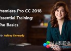 PR全面基础入门视频教程Lynda Premiere Pro CC 2018 Essential Training The Basics 含英文字幕