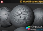 20组木纹岩石笔刷贴图素材ArtStation Marketplace ZBrush/SP 20 Wood Brushes/Alphas Vol.1