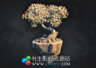 ZB软件制作风格化森林雕刻教程Pluralsight Stylized Forest Sculpting in ZBrush