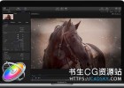 苹果运动图形软件Apple Motion 5.8.0 Mac中文/英文/多语言版