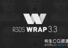 三维拓扑工具软件R3DS WRAP v3.3.17 Nodelocked iND Win版