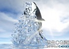 Realflow虎鲸出水跳跃流体特效案例教程Skillshare RealFlow Orca Animation Tutorial