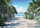棕榈树植物3D模型CGAxis Palm Trees 3D Models Collection Volume 110