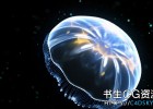 Cinema 4D搭配Octane Render渲染器制作外星水母动画教程,含中文字幕
