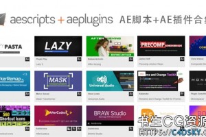 Ae脚本合集 C4dsky