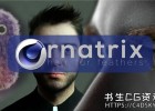 C4D插件-头发毛发羽毛模拟插件Ephere Ornatrix v2.4.0.32507 for Cinema 4D 2023 Win