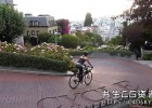 零基础学习AE 2020入门视频教程Lynda – After Effects 2020 Essential Training: The Basics 含英文字幕