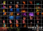 60组高分辨率彩色粉末粒子特效图片叠加合成素材,JPG格式