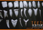 24组Zbrush牙齿笔刷Artstation TEETH Zbrush 24 Assorted Teeth IMM Brush