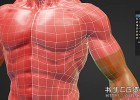 三维模型自动拓扑Blender插件Blender Market – RetopoFlow v4.0.0 Retopology Tools