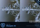 人工智能图像清晰锐化软件Topaz Sharpen AI 3.2.1 Win/Mac版