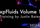 Cinema 4D搭配X-Particle插件创建漂亮有趣的粘性流体模拟特效教程Helloluxx – xpFluids V01