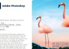 PS 2021新功能介绍视频教程Photoshop 2021 New Features 含英文字幕