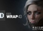 三维模型拓扑软件R3DS Wrap4D v2020.08.01 Win版