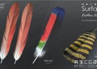 Substance Designer羽毛纹理生成器HairTG - Surface, Feather Edition for Substance Designer+视频教程
