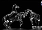 C4D GPU真实光线追踪渲染器插件NextLimit Maxwell 5 v5.1.1 for Cinema 4D R14-S22 Win