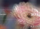 中文汉化AE/PR插件-万花筒分割模糊梦幻视觉特效插件Split Blur v1.3.2 Win/Mac 书生汉化