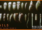 24个Zbursh角色生物爪子指甲雕刻笔刷预设Artstation – NAILS – 24 Character & Creature Claws & Nails
