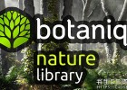Blender插件-树木草地植物藤蔓系统完整资产库插件Blendermarket Botaniq v6.8