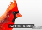 中文汉化FCPX/AE/PR视频字幕刻录插件,可自动生成导入编辑VTT/SRT字幕插件