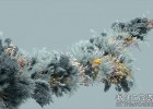 Houdini教程-植物开花生长动画高级教程learn. Houdini. In Bloom