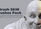 ZBrush笔刷-真实三维人物角色皮肤笔刷雕刻预设ZBrushguides – ZBrush SKIN Brushes Pack (human)