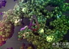 C4D阿诺德渲染器SolidAngle C4DtoA 4.8.3.2 2023/2024/2025 Win替换破解版