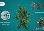 Maya三维植物树木草地模型预设botaniq Maya v1.0