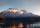 三维地形景观软件QuadSpinner Gaea 2.2.4.0 Win