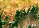 中文版FCPX插件-视频图像锐化画面清晰度增强插件Sharpener for Final Cut Pro X
