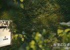 三维岩石植物散布生成-C4D插件Laubwerks SurfaceSPREAD v2.0.9 Win 仅支持C4D 2023