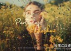 Particular插件制作粒子汇聚成图片婚礼幻灯片开场动画AE模板Original Particles Slideshow
