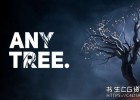自定义植物形状外观生长动画Blender插件Anytree v2.1.2 – Trees With Any Shape