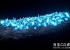 全面掌握Houdini FX 19.5教程Complete Houdini FX 19.5 Course Beginner To Advanced初学者必看