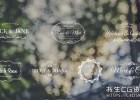 AE模板-可爱浪漫婚礼爱情文字标题动画Lovely Wedding Titles Vol 5