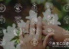 达芬奇模板-20种小清新爱情线条图形婚礼文字标题动画Wedding Titles for DaVinci Resolve