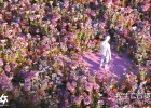 C4D/OC渲染器三维植物花草生长动画教程Floral Creative 3D Animation using Cinema4D & Octane Render
