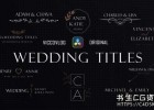 达芬奇模板-优雅小清新爱情线条图形婚礼文字标题动画Wedding Titles Templates