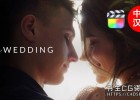 中文版FCPX插件-专业婚礼MV影片标题字幕条转场调色LUT预设包mWedding