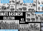 终极基础网格三维神话生物/人物/动物模型集合Ultimate Basemesh Collection - Topology + Uv Map